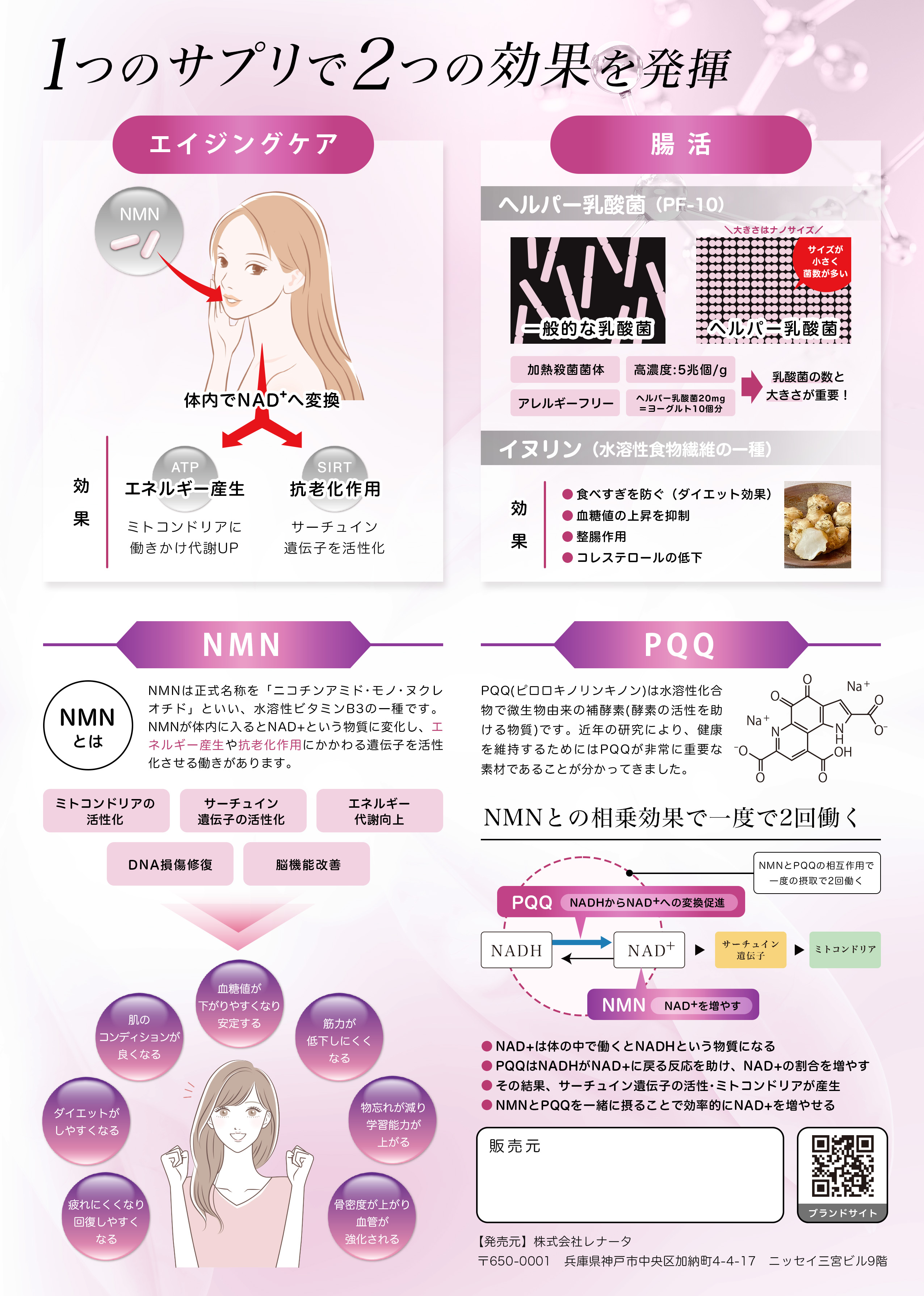 ADERAY NMNのチラシ裏